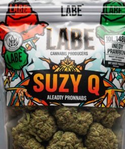 Suzy Q
