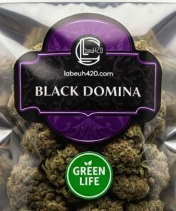 Buy Black Domina Online