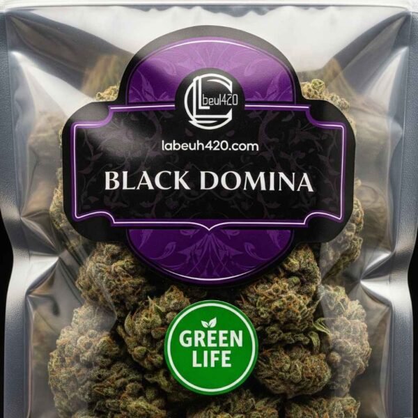 Buy Black Domina Online