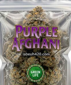 Buy Purple Afghani Cannabis Online in France